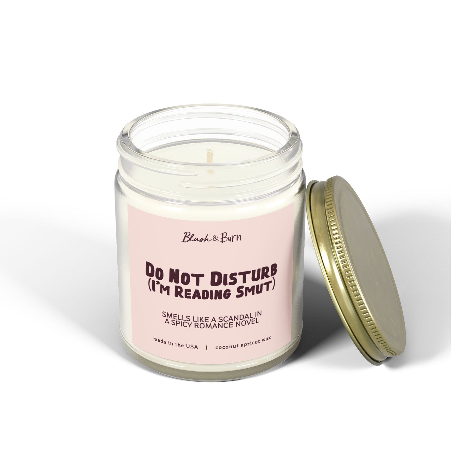 Do Not Disturb (I'm Reading Smut)