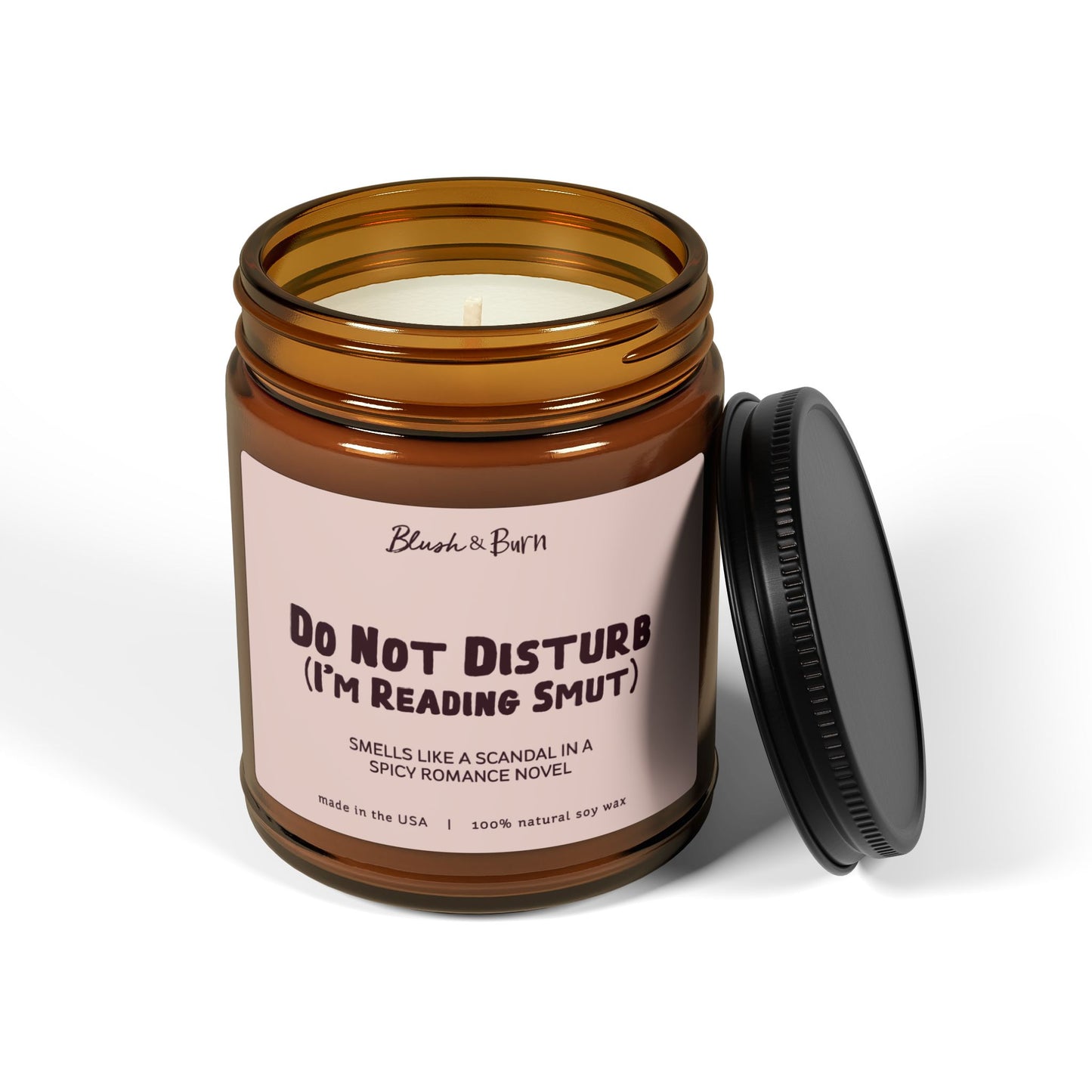 Do Not Disturb (I'm Reading Smut)