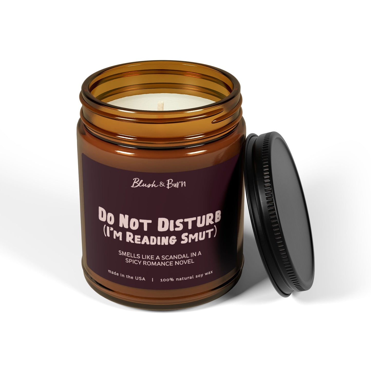 Do Not Disturb (I'm Reading Smut)