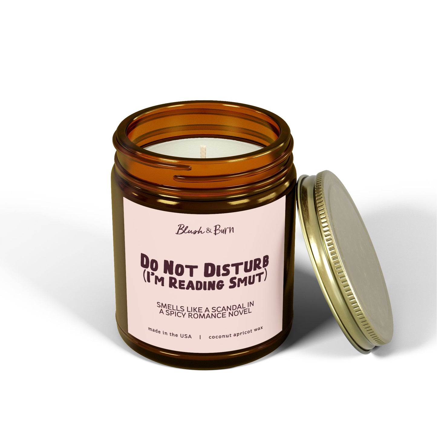 Do Not Disturb (I'm Reading Smut)