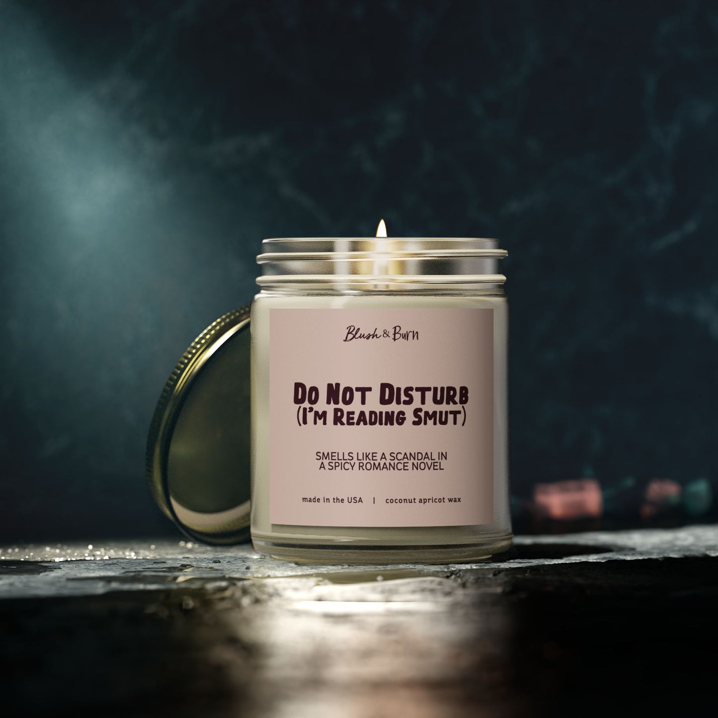 Do Not Disturb (I'm Reading Smut)